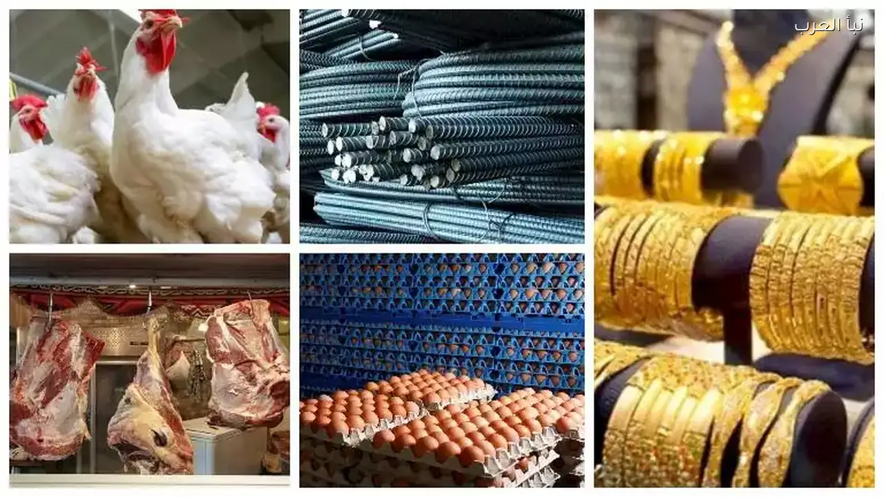 ارتفاع أسعار الدواجن والبيض والذهب اليوم