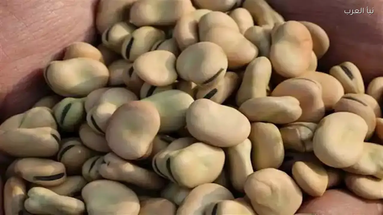 ارتفاع أسعار الفول والدقيق والسكر في الأسواق اليوم