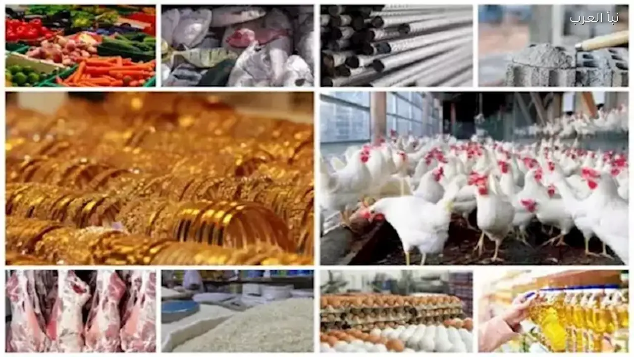استقرار أسعار الدواجن والبيض وانخفاض الذهب اليوم