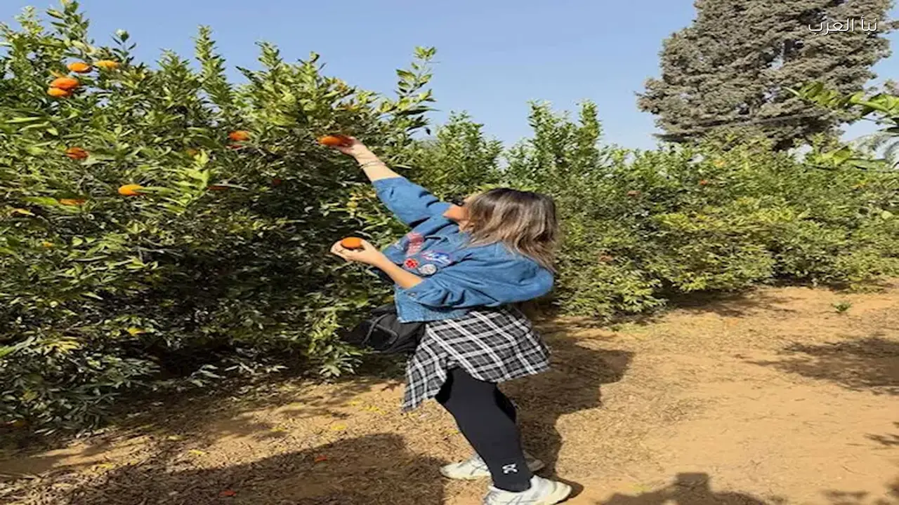 زوجة عمرو السولية تشارك صوراً مع بناتها في أجواء عائلية مميزة