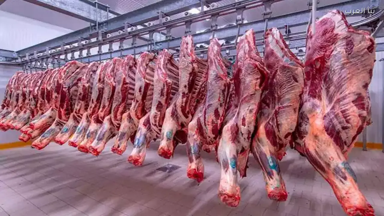 أسعار الفول والمكرونة واللحوم ترتفع اليوم الثلاثاء