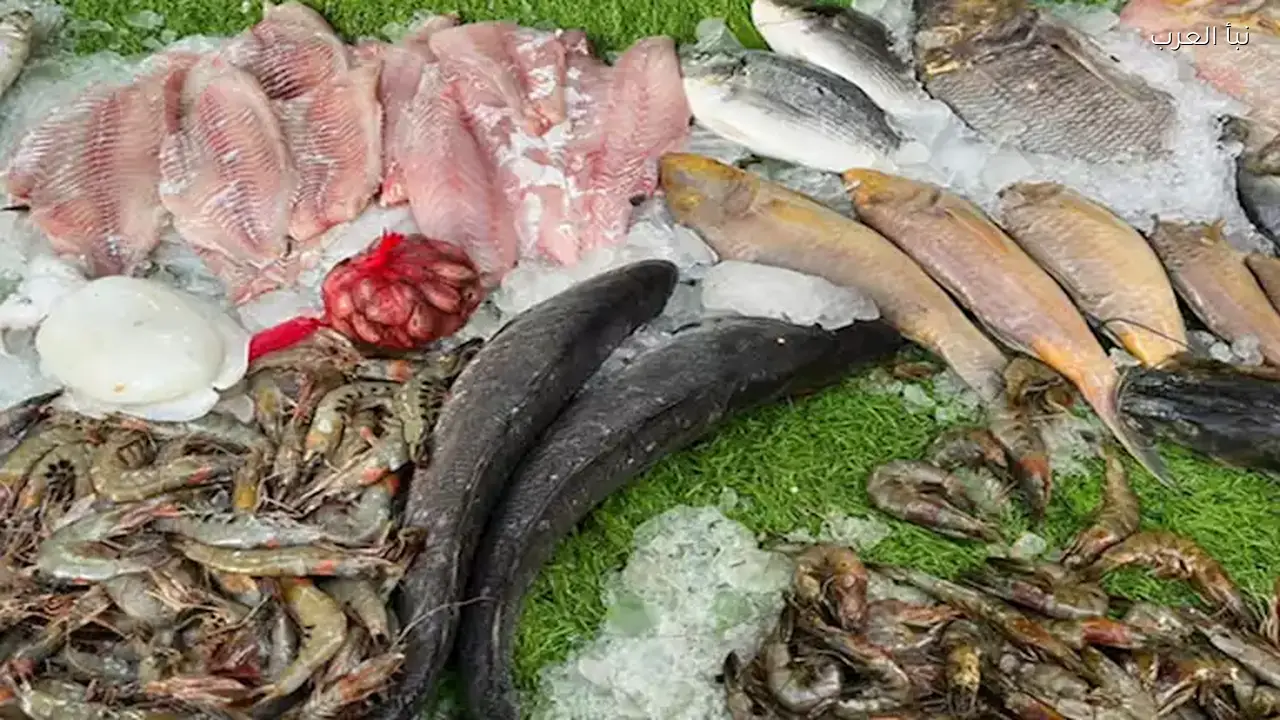 ارتفاع أسعار السمك والبلطي في سوق العبور
