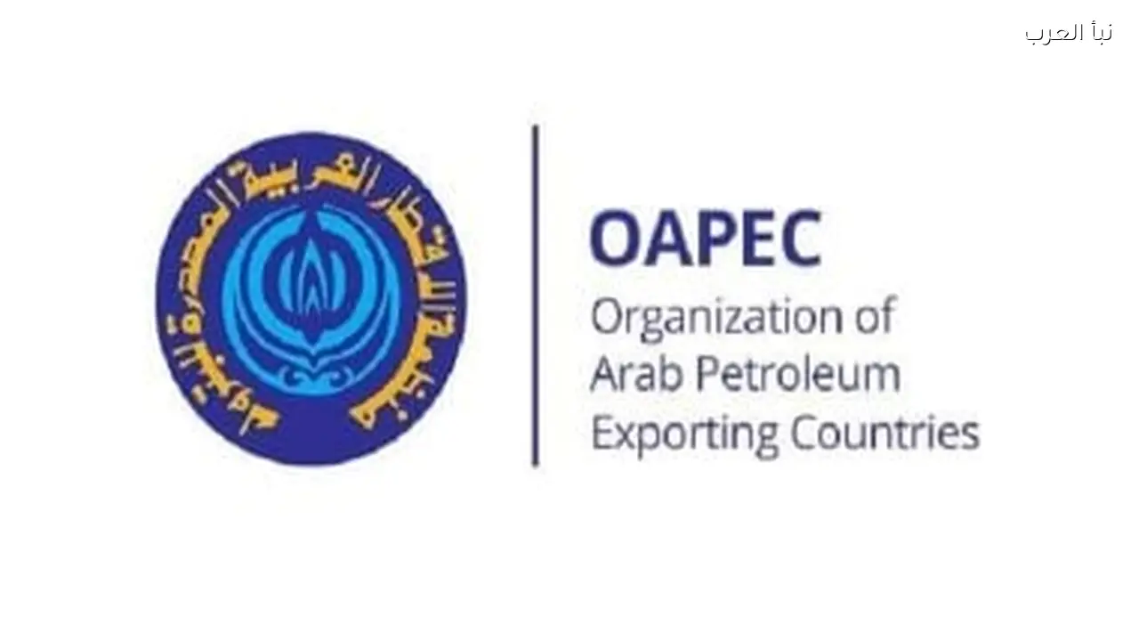 ارتفاع صادرات الغاز المسال للدول العربية إلى 27.84 مليون طن بما فيها مصر