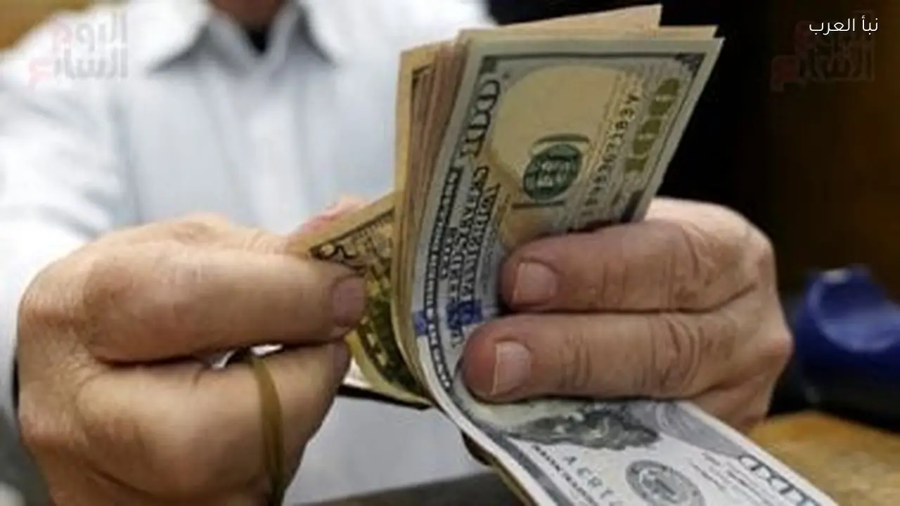 استقرار سعر الدولار في البنك الأهلي وCIB اليوم السبت 7 فبراير 2026
