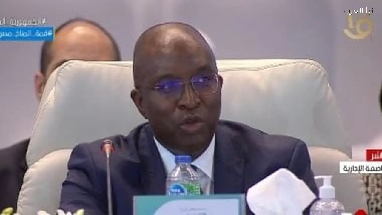 التمويل الدولية تستهدف تمويل مشروعات بمليار دولار سنوياً في مصر