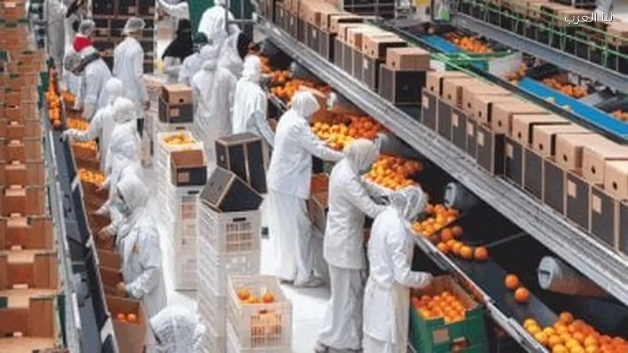 الصادرات الزراعية المصرية 2025 تسجل رقماً قياسياً وتحقق ربع إجمالي الصادرات