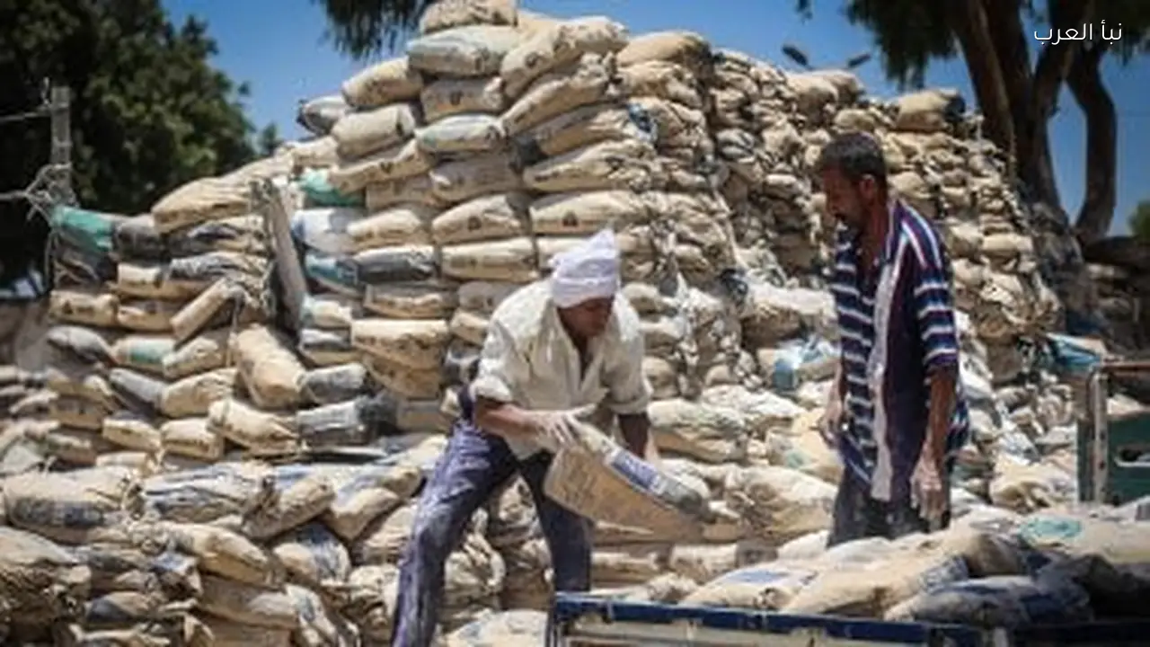 سعر الأسمنت في مصر اليوم الثلاثاء 3 فبراير 2026