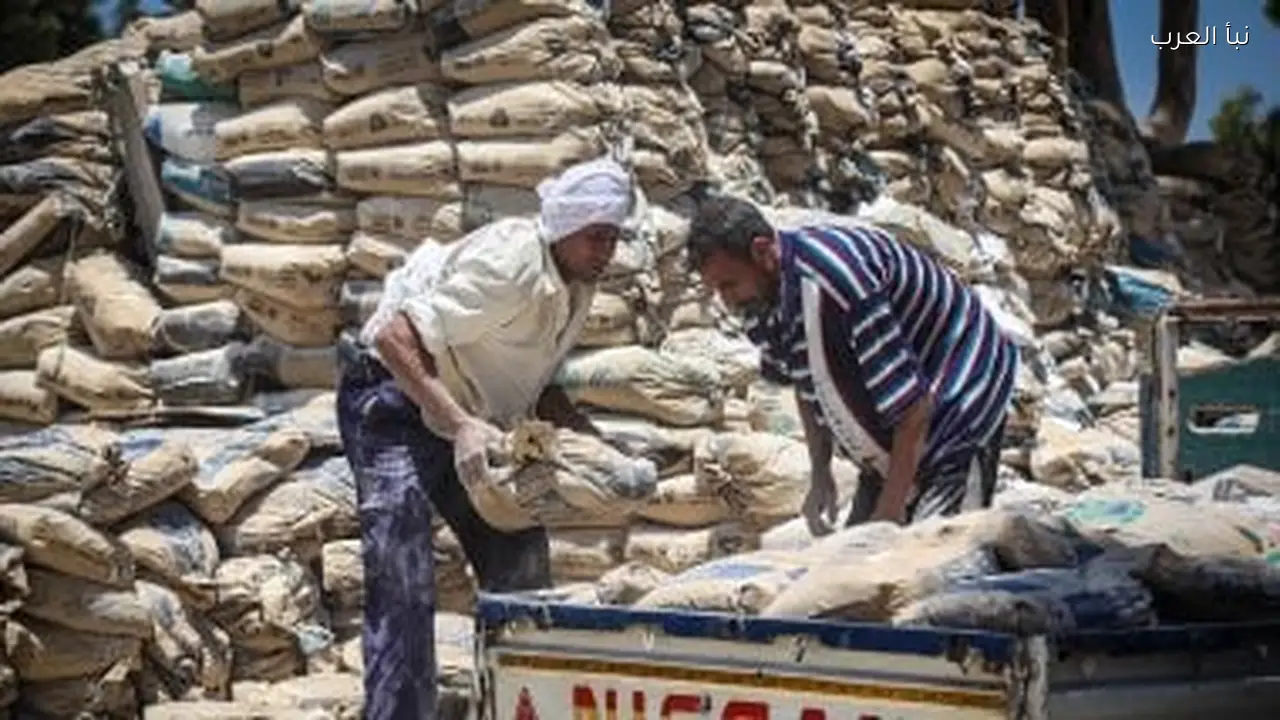 سعر الطن من الأسمنت اليوم السبت 7 فبراير 2026