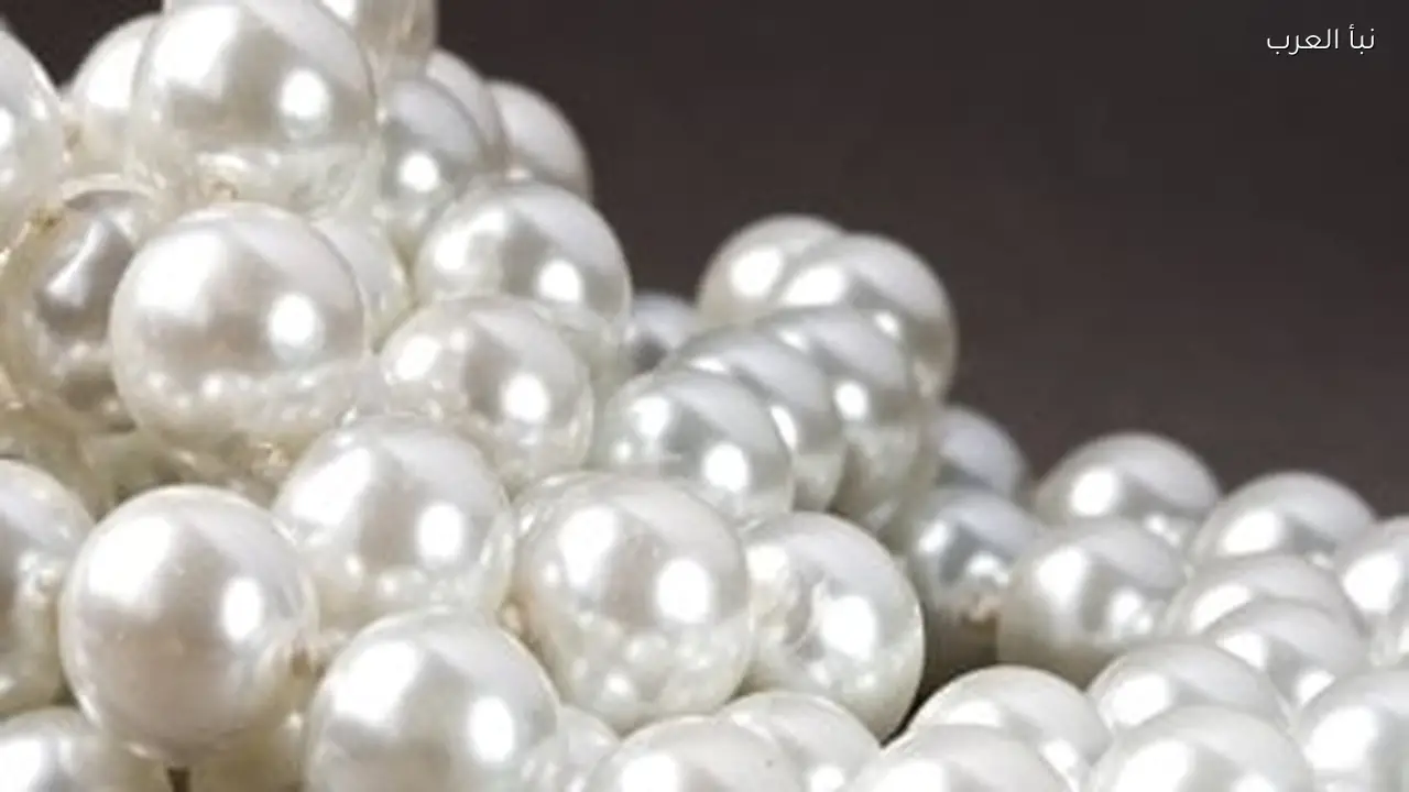 مصر تحقق صادرات لؤلؤ تتجاوز 6 مليارات دولار في 10 أشهر