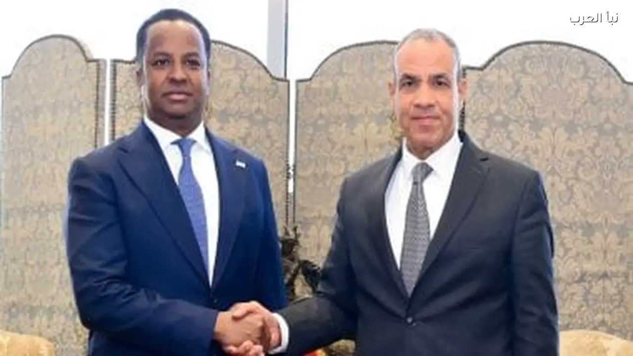 مصر تدعم الجهود الدولية لتحقيق الأمن والتنمية في الصومال