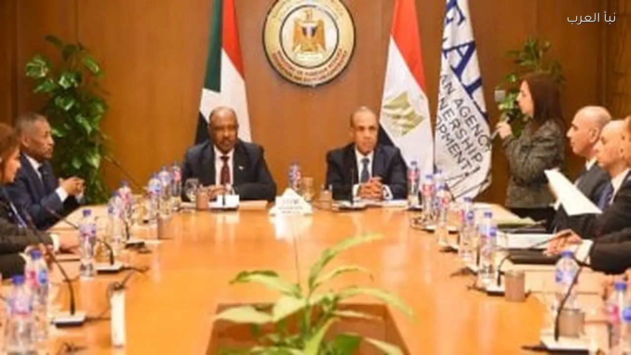 وزير الخارجية يكرم أطباء قافلة مصرية في الخرطوم