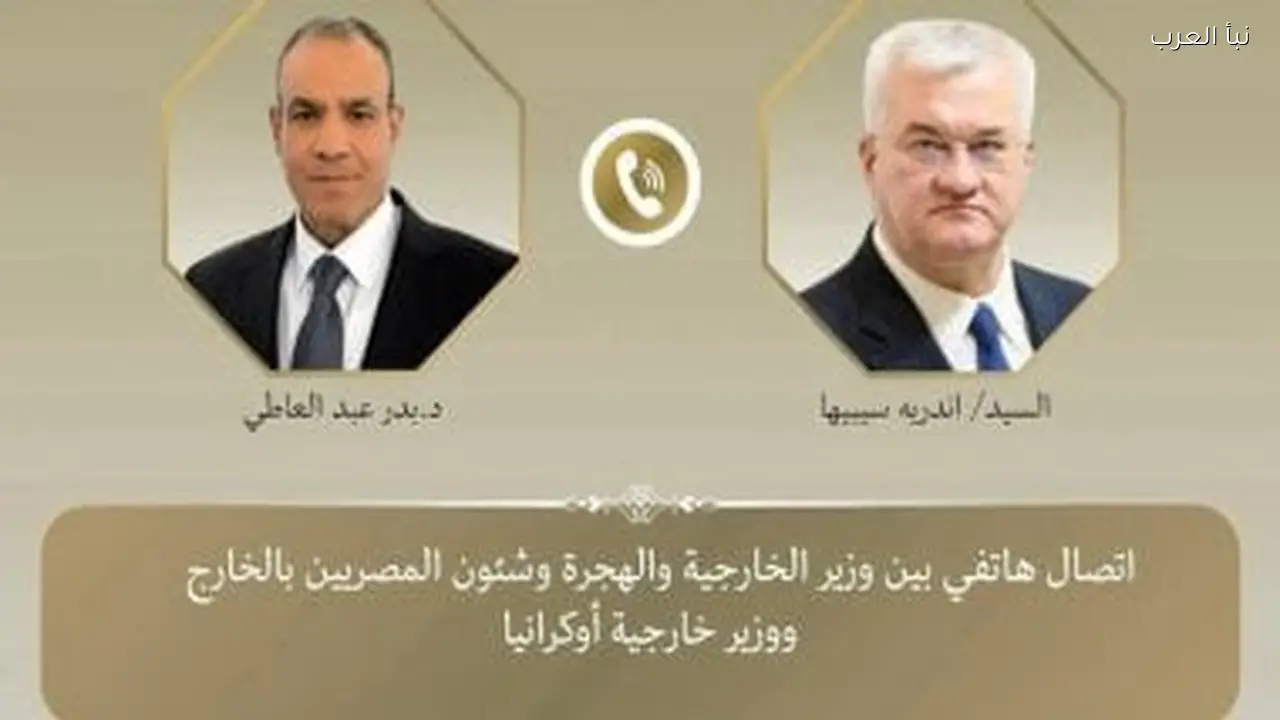 وزير الخارجية يناقش العلاقات الثنائية وأزمة أوكرانيا مع نظيره الأوكراني