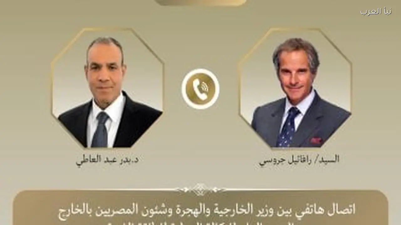 وزير الخارجية يناقش تطورات الملف الإيراني مع مدير الوكالة الذرية